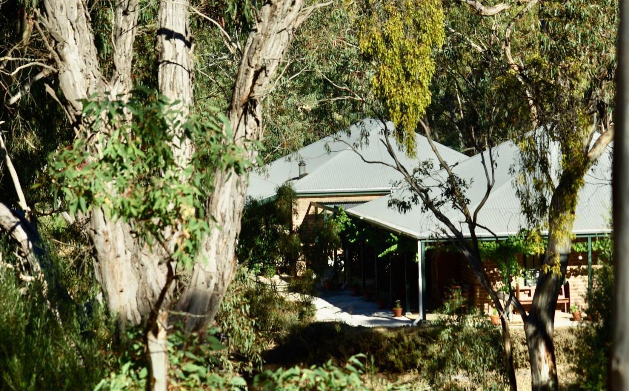 Battunga Cottages Watervale Εξωτερικό φωτογραφία