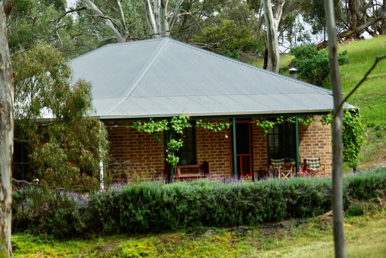 Battunga Cottages Watervale Εξωτερικό φωτογραφία