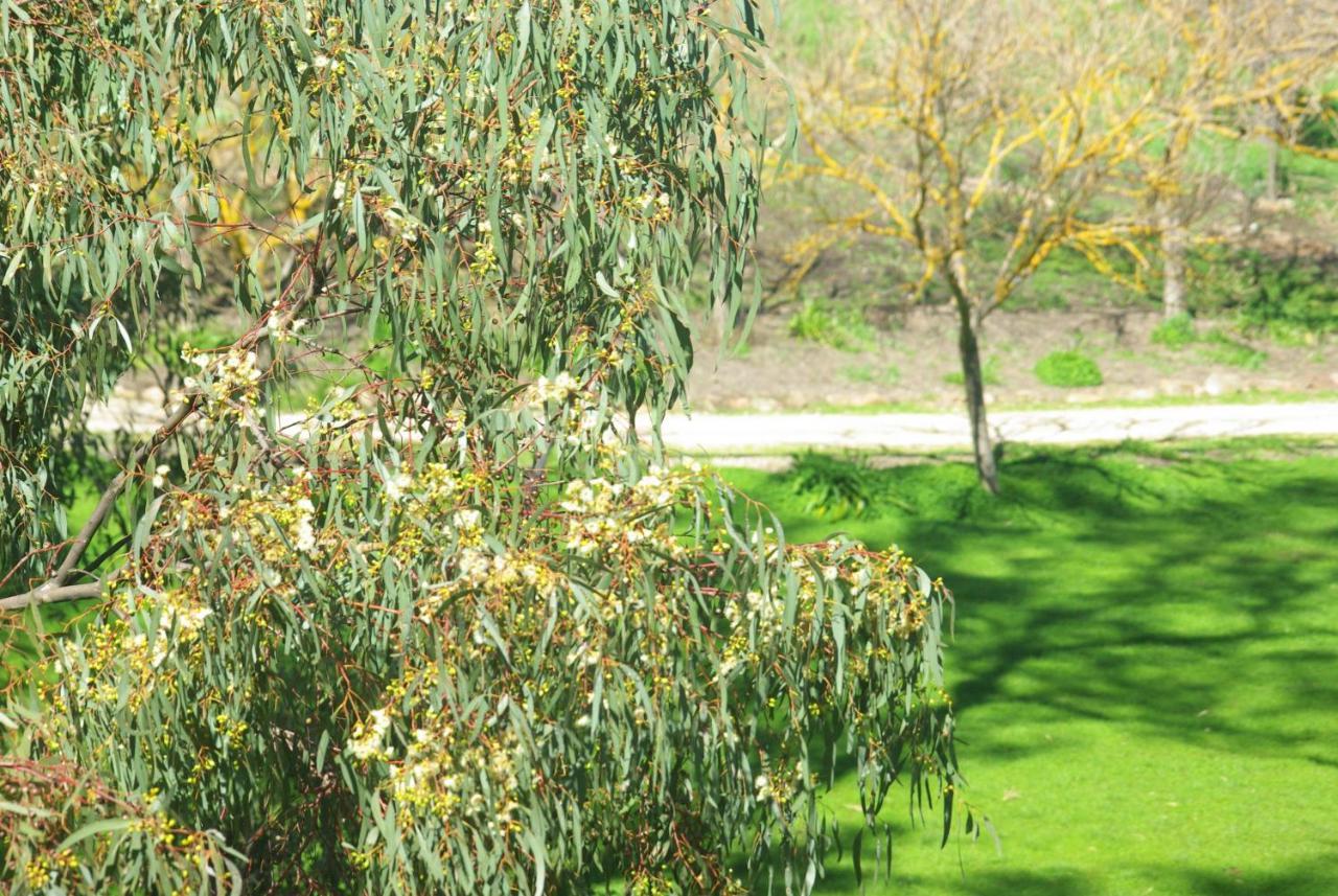 Battunga Cottages Watervale Εξωτερικό φωτογραφία