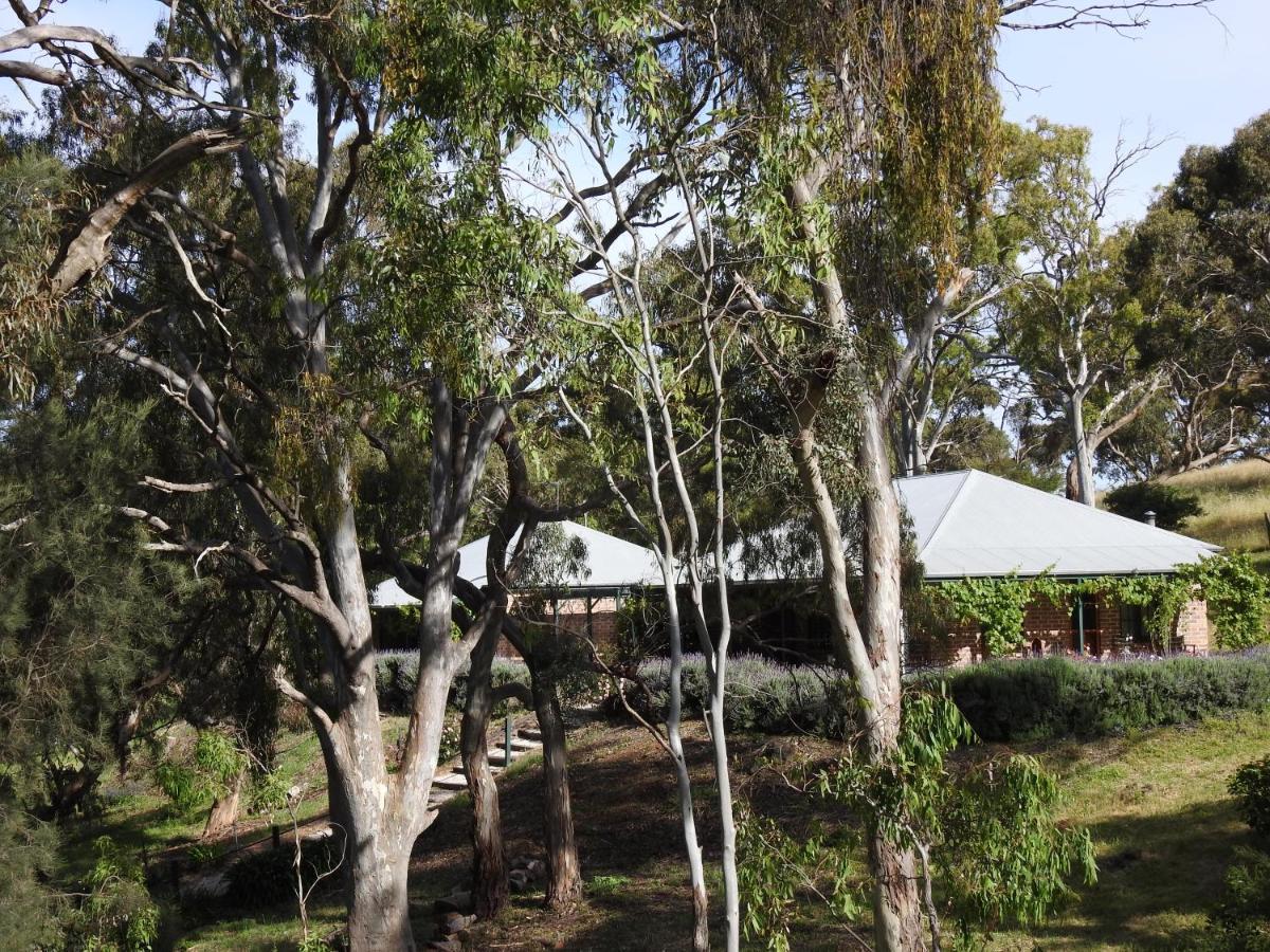 Battunga Cottages Watervale Εξωτερικό φωτογραφία