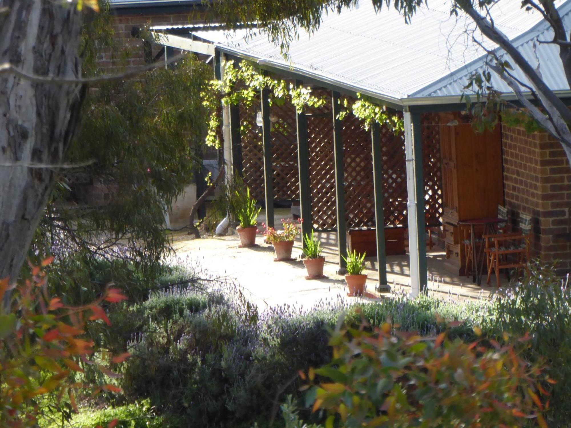 Battunga Cottages Watervale Εξωτερικό φωτογραφία
