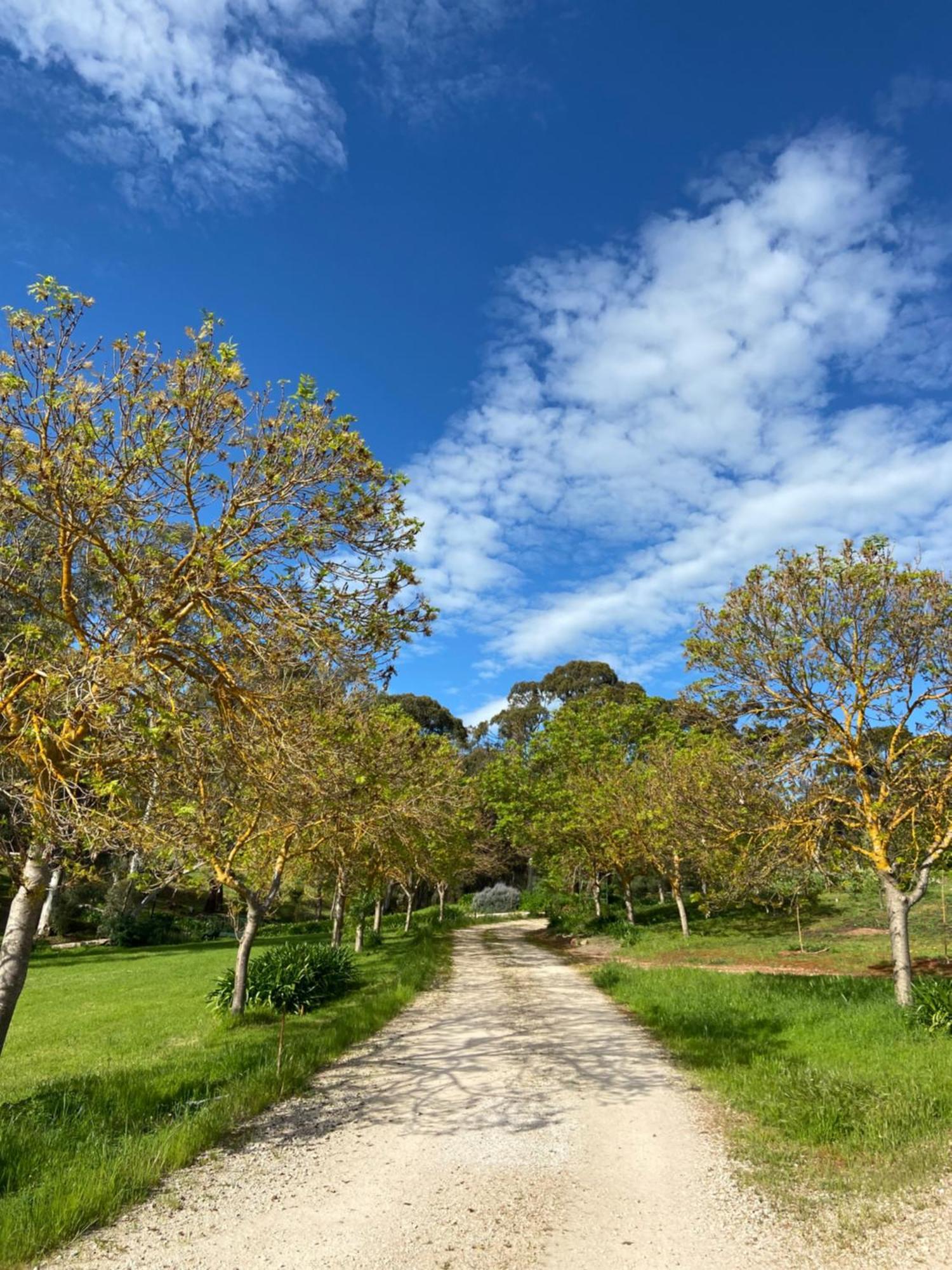 Battunga Cottages Watervale Εξωτερικό φωτογραφία