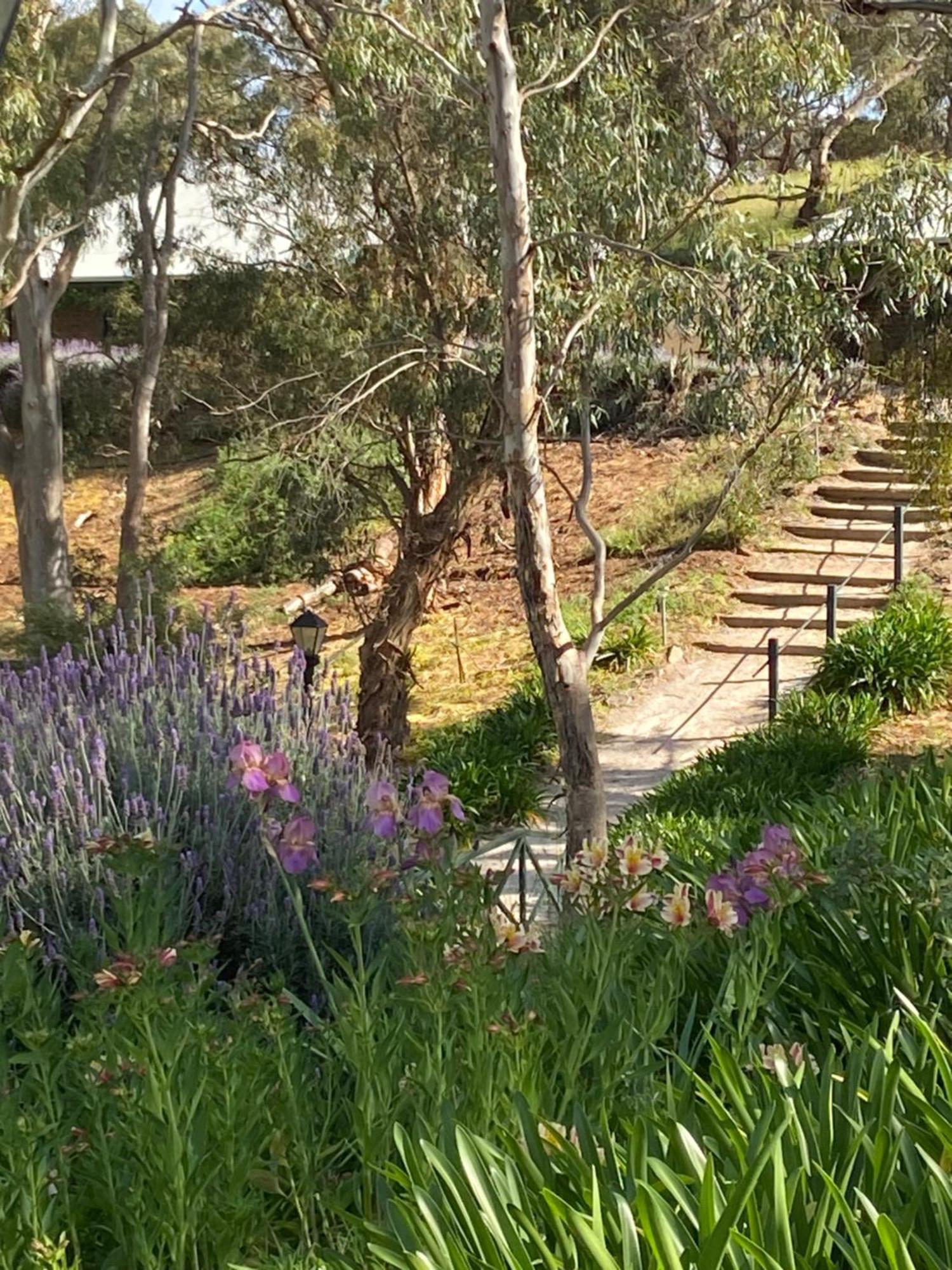 Battunga Cottages Watervale Εξωτερικό φωτογραφία